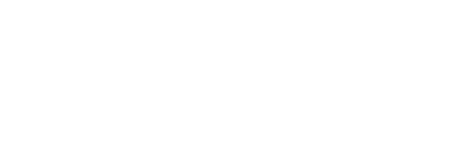 Sollico Group